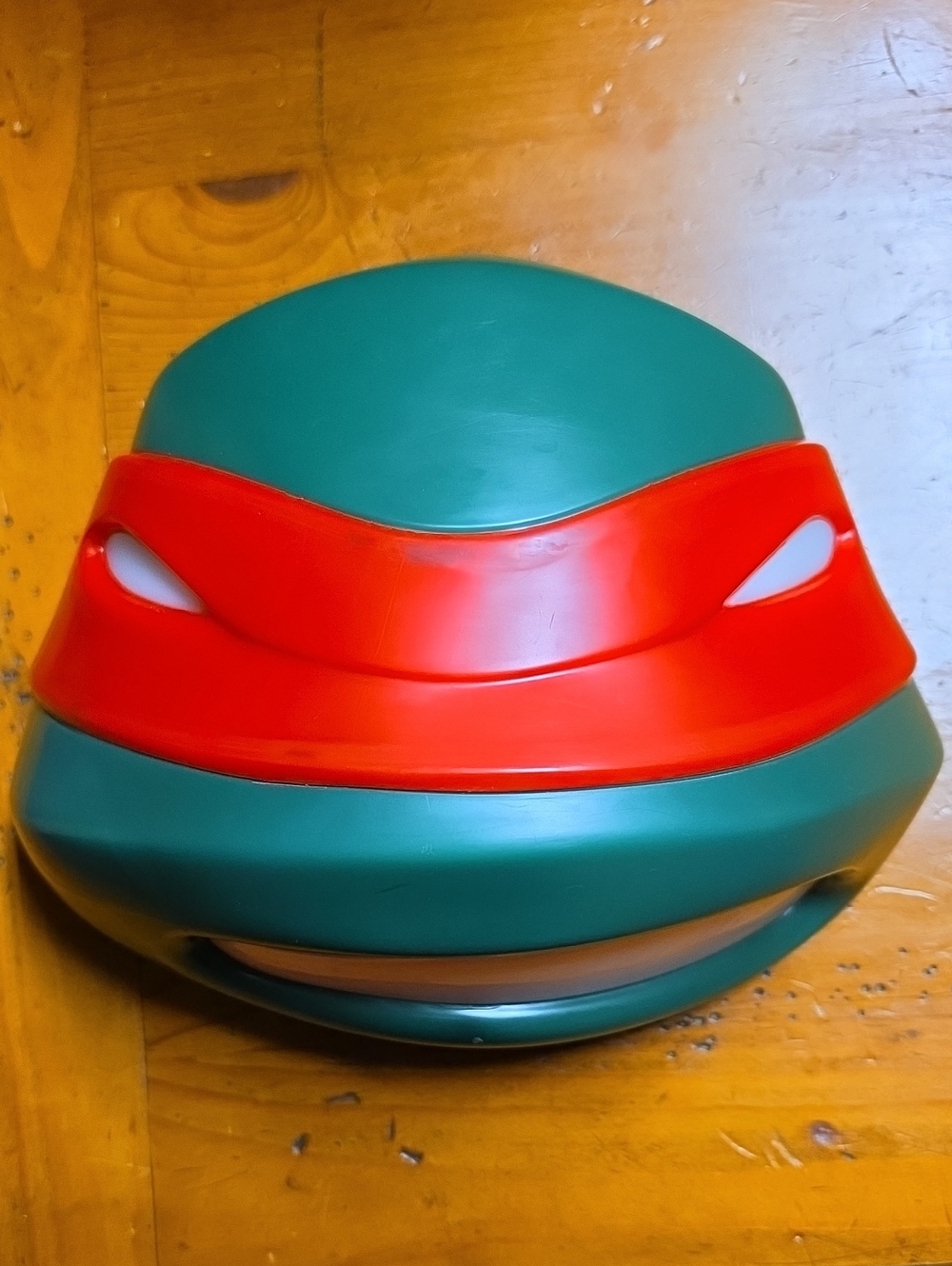 Green and Red Turtle Light Up Kids Wall Hanger